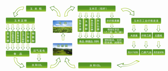 龙力生物大力推动功能糖领域发展，深攻大健康产业